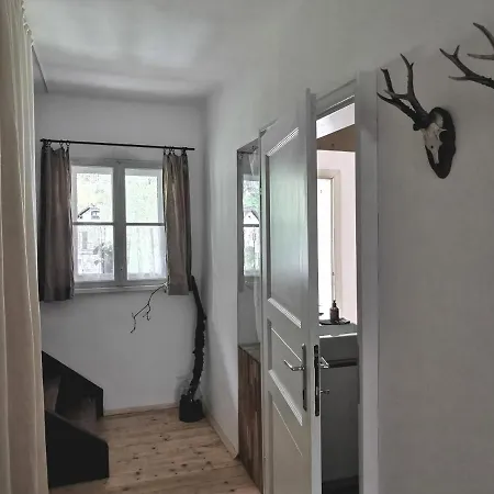 Charmante Altbauwohnung Apartment