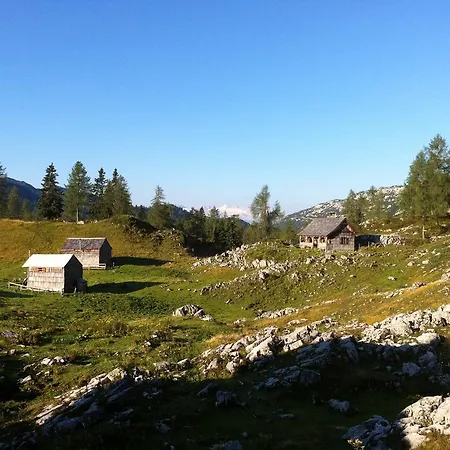 Charmante Altbauwohnung * Ebensee