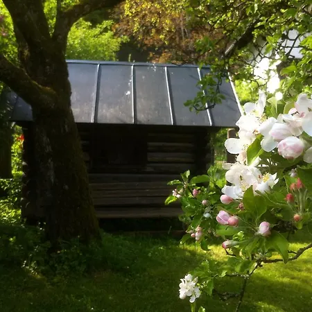 Charmante Altbauwohnung Apartment Ebensee