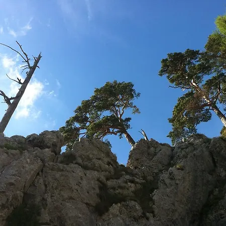 Charmante Altbauwohnung 埃本湖