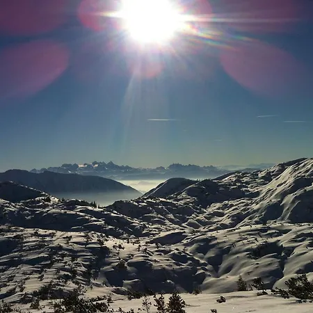 Charmante Altbauwohnung